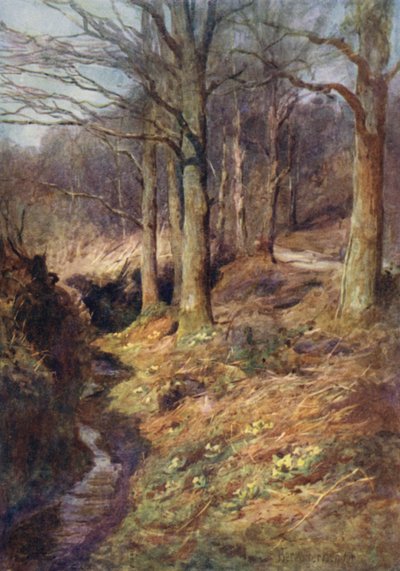 عندما يوقظ الربيع في الغابة بواسطة إرنست بينجر أو بيرنجر